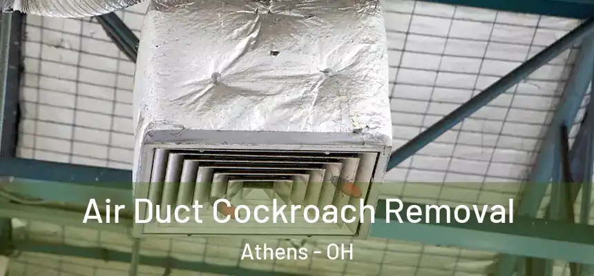 Air Duct Cockroach Removal Athens - OH