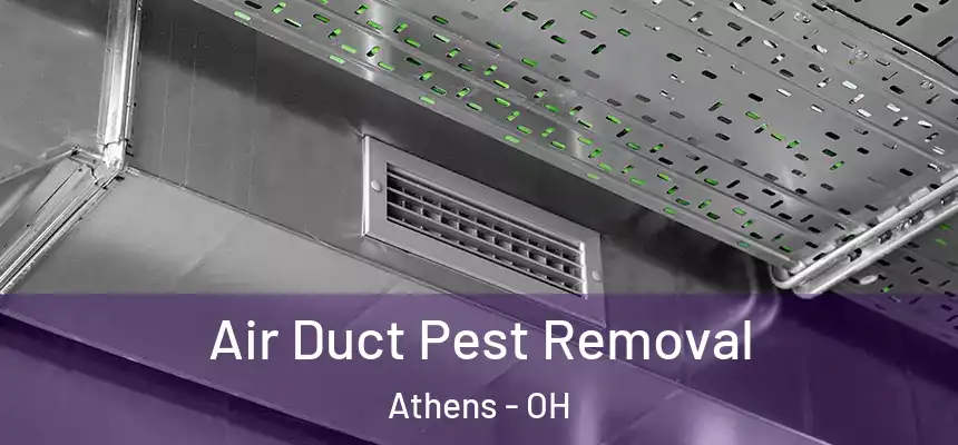 Air Duct Pest Removal Athens - OH