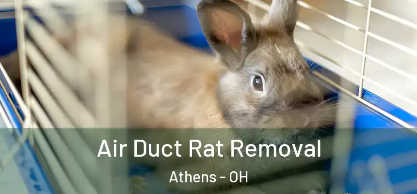  Air Duct Rat Removal Athens - OH