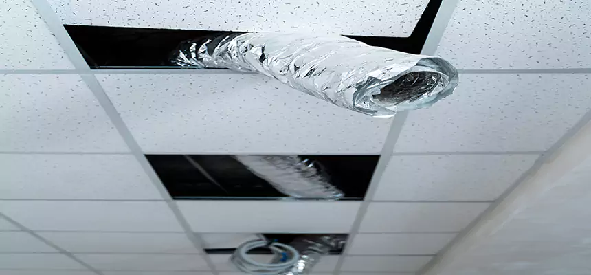 Our Air Duct Pet Hair Removal Services in Athens, OH