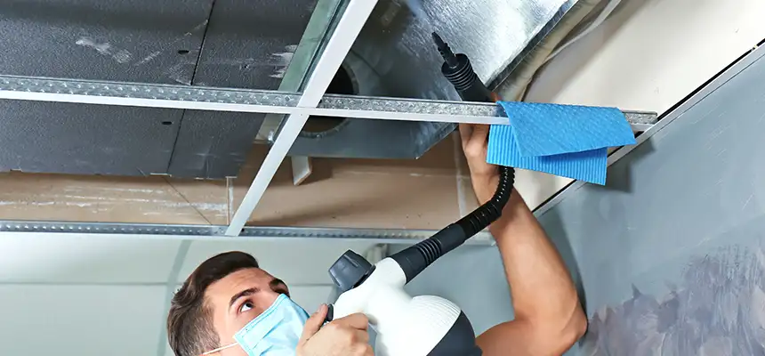 Our Air Duct Rodent Removal Services in Athens, OH