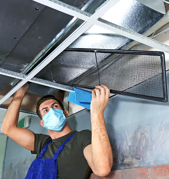 About Air Duct Bacteria Removal in Athens