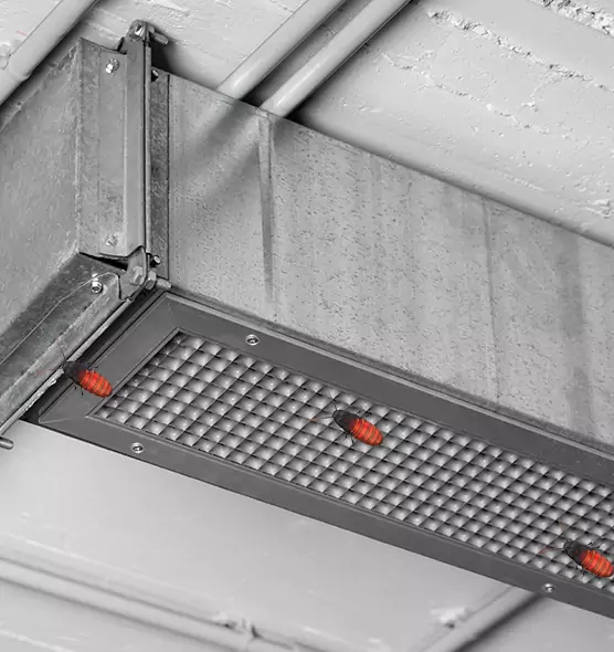 About Air Duct Cockroach Removal in Athens, OH