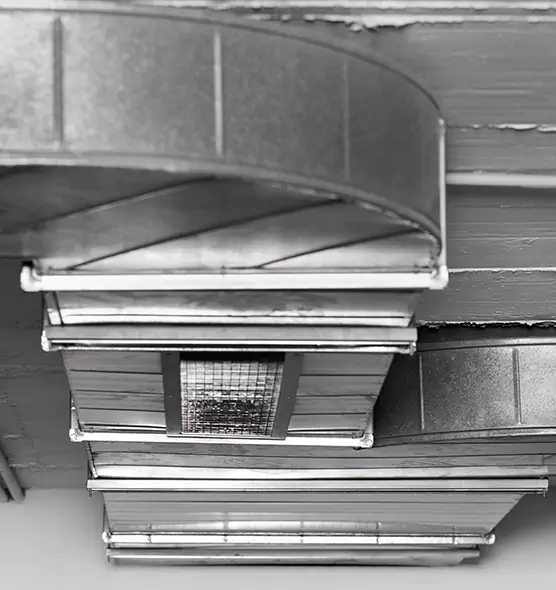 Professional Air Duct Pet Hair Removal in Athens, OH