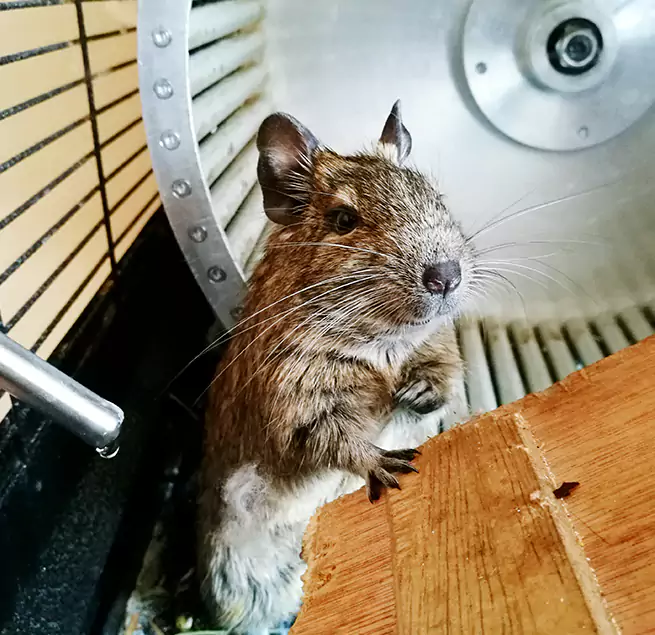 Why Homeowners & Businesses Trust Us Athens, OH